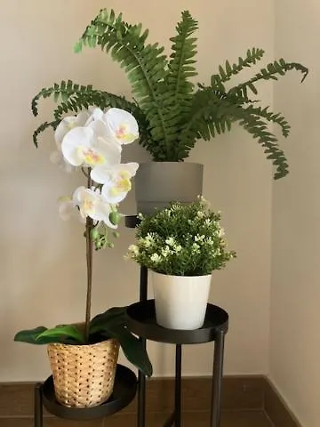 Sea&beach Appartamento